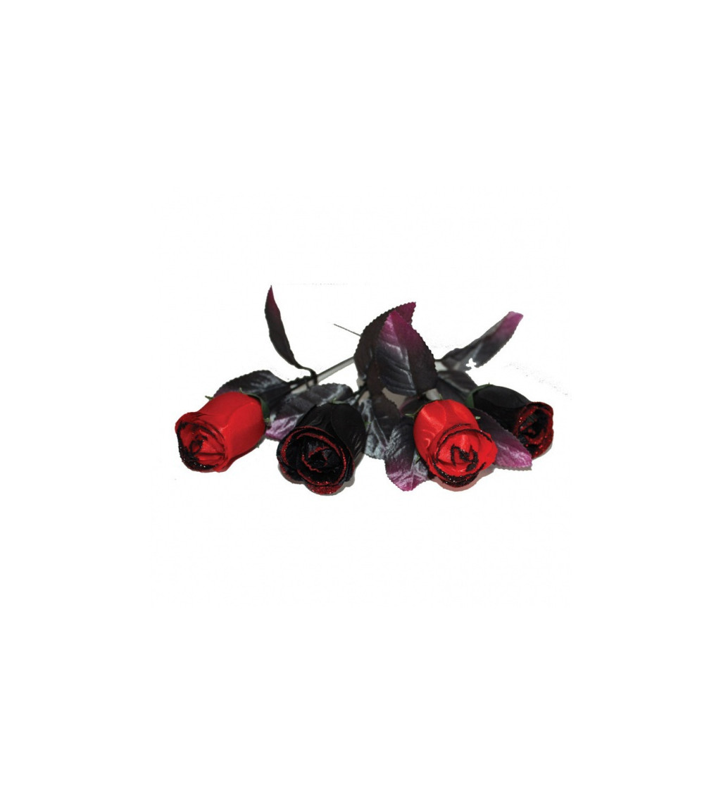 Červeno-černé růže
