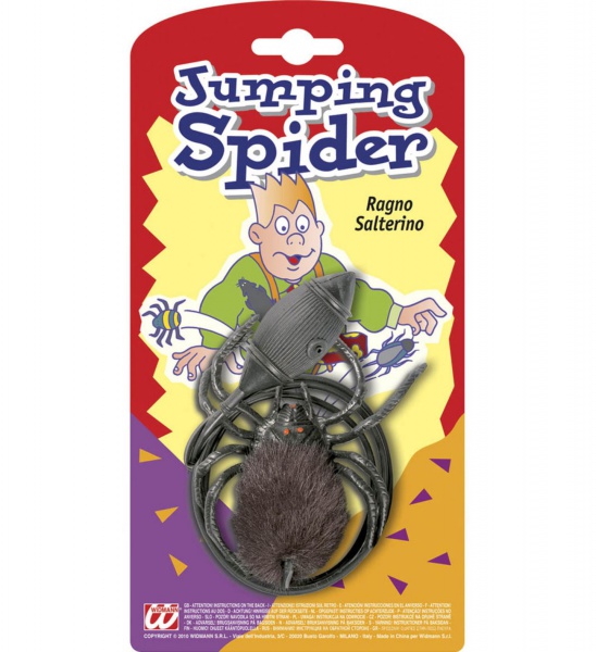 Skákající pavouk