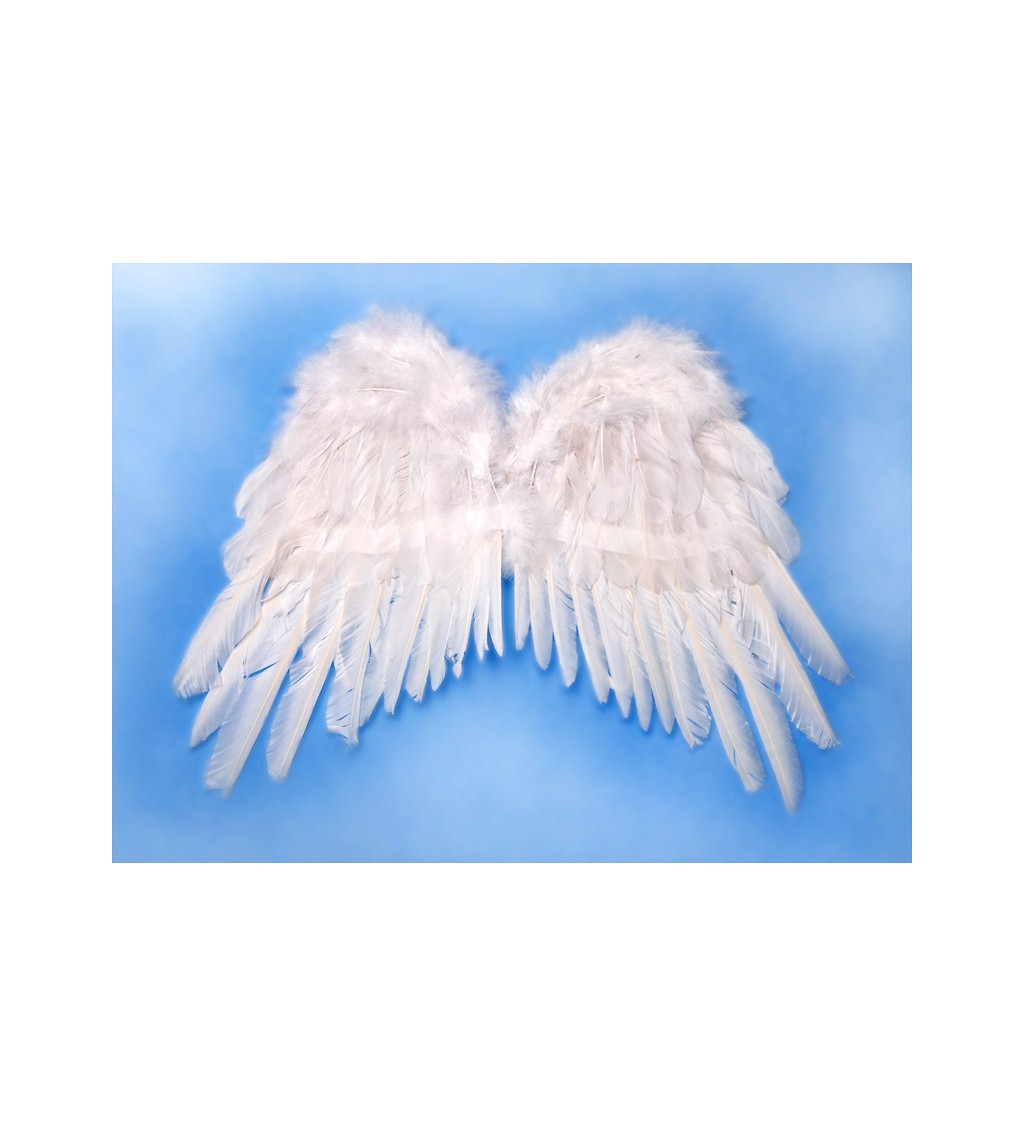 Bílá andělská křídla - IV