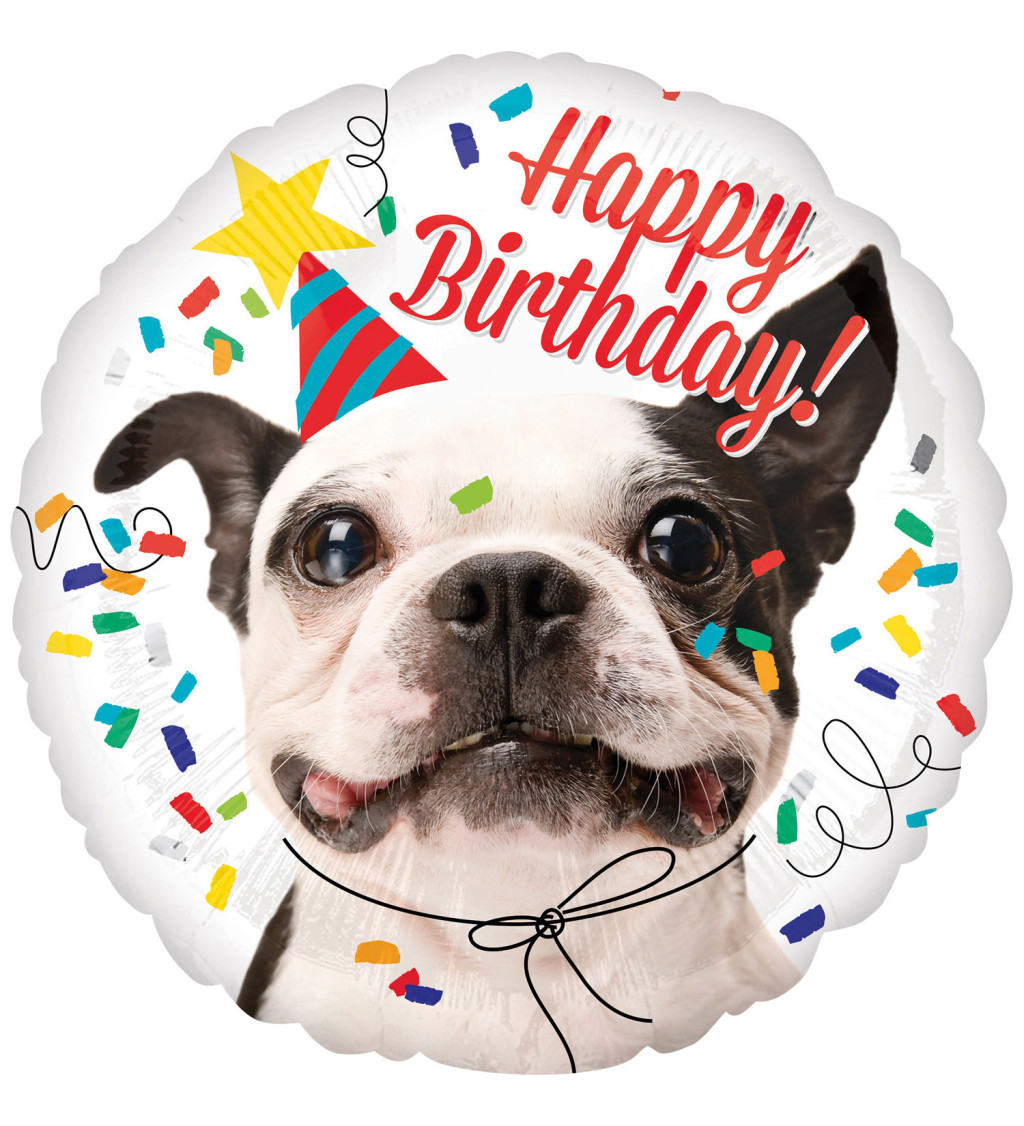 Happy Birthday dog - balónek
