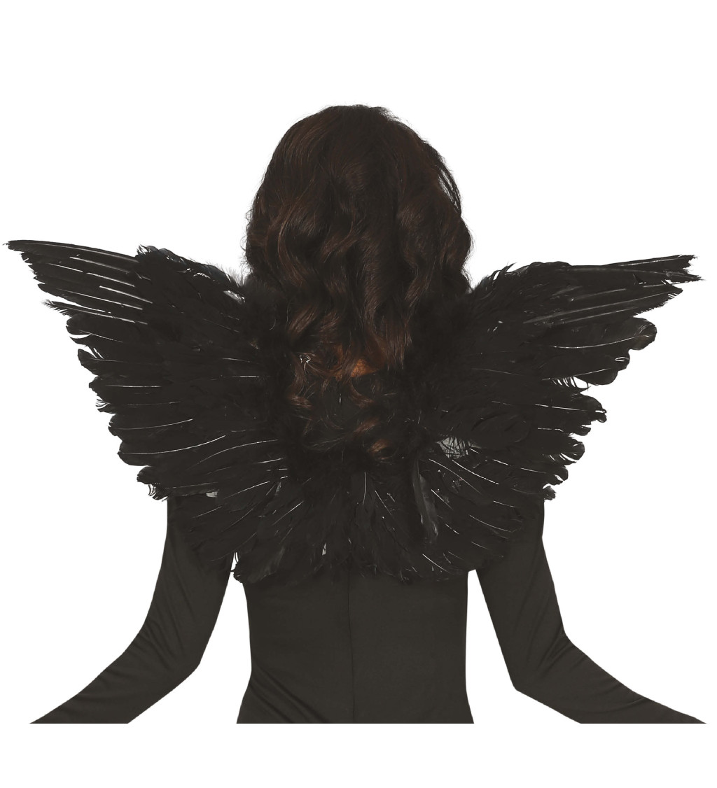 Černá ptačí křídla