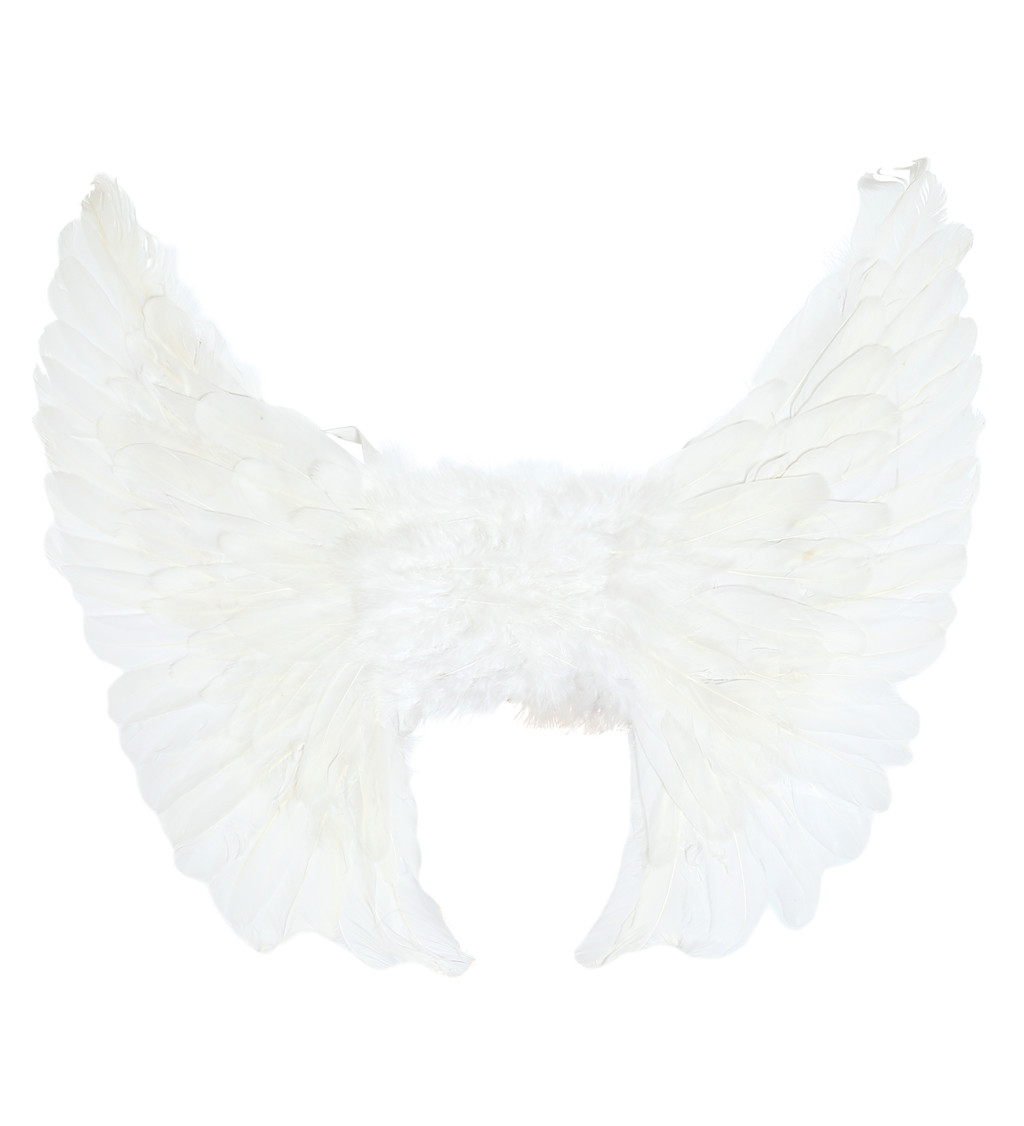 Bílé ptačí křídla, 55x45 cm