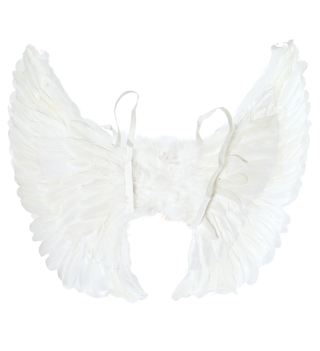 Bílé ptačí křídla, 55x45 cm