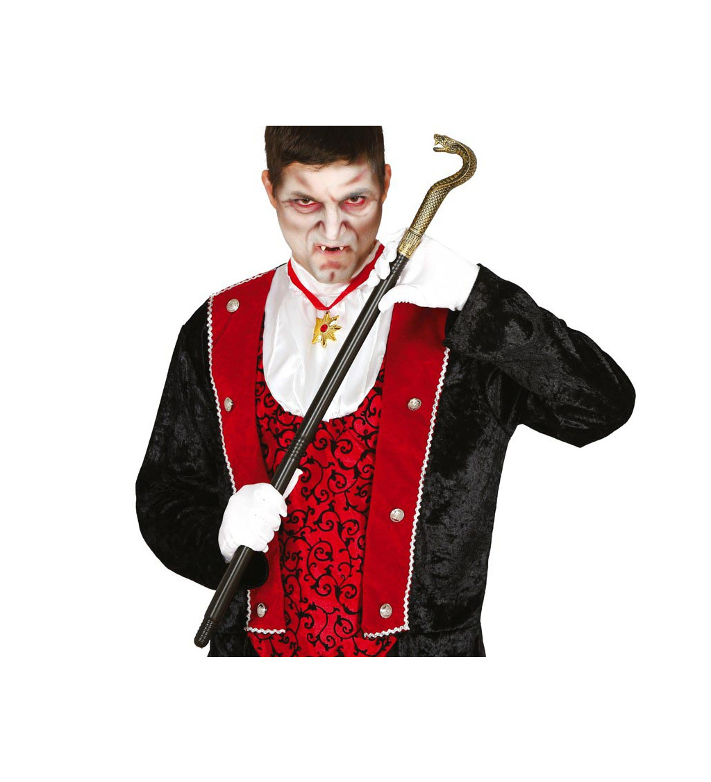 Hůlka s hadem