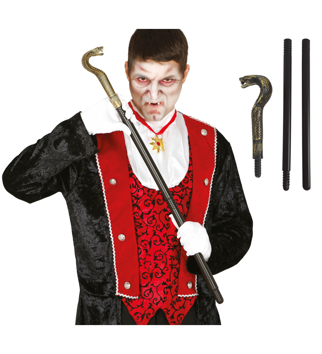 Hůlka s hadem