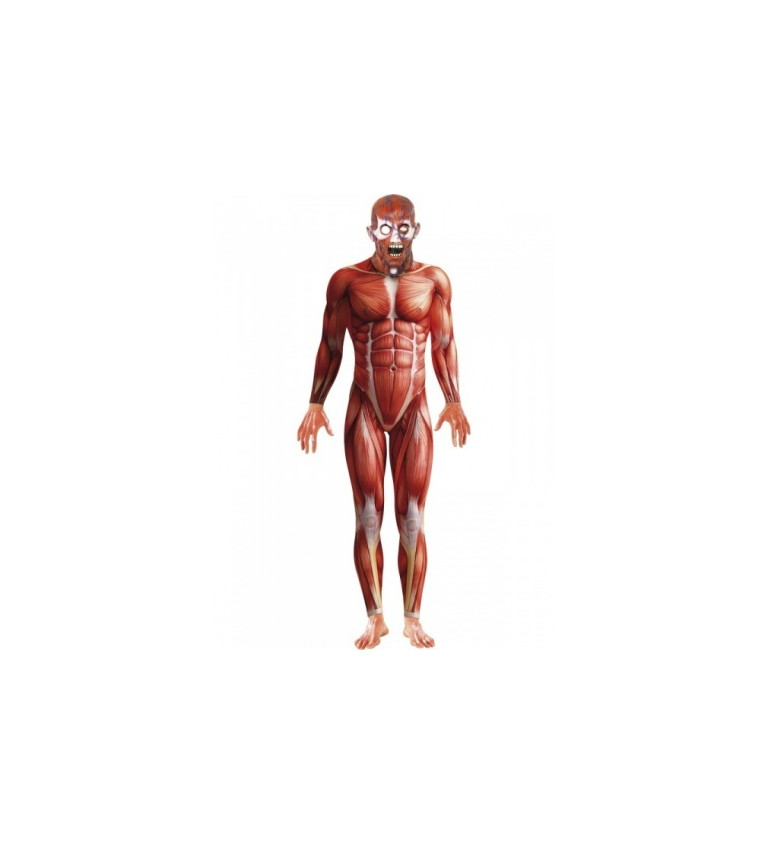 Kostým - Anatomie mužského těla