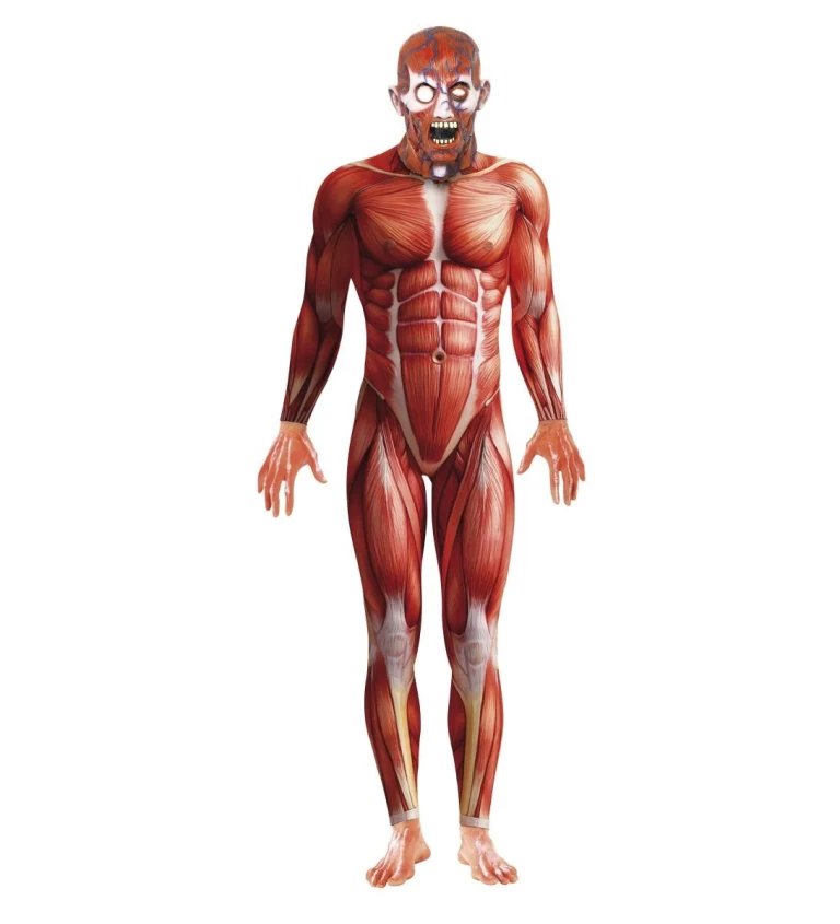 Kostým - Anatomie mužského těla