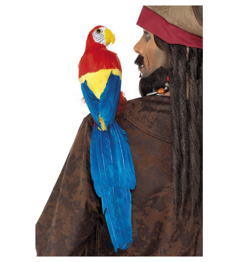 Papoušek pro piráta